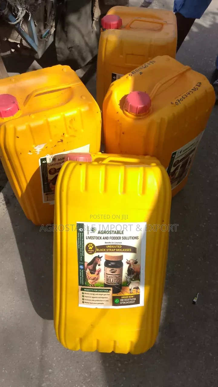 Molasses 25 LTRS