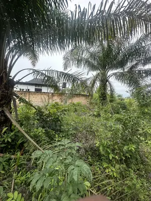 100ft/100ft for Sale at Obagie Nevbosa Off Sapele Road