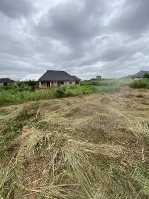 50ft/100ft With Foundation at Iguovbiobo at Benin/Auchi Road