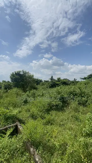 100ft by 100ft at Obagie Nekenkporo Off Sapele Road
