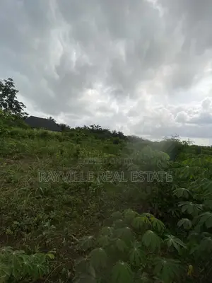 100ft/200ft at Ayen,Egba Road Off Benin-Auchi Road