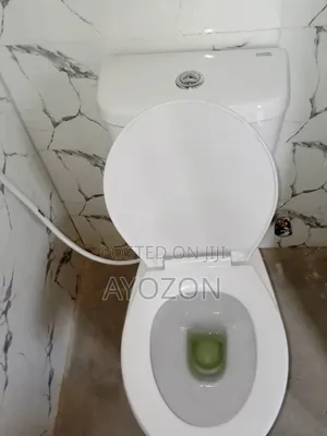 Plumbing Works