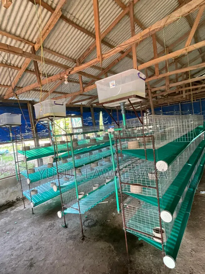 Rabbit Cage Fabricated