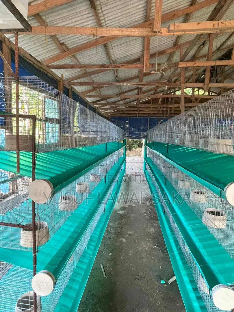 Rabbit Cage Fabricated