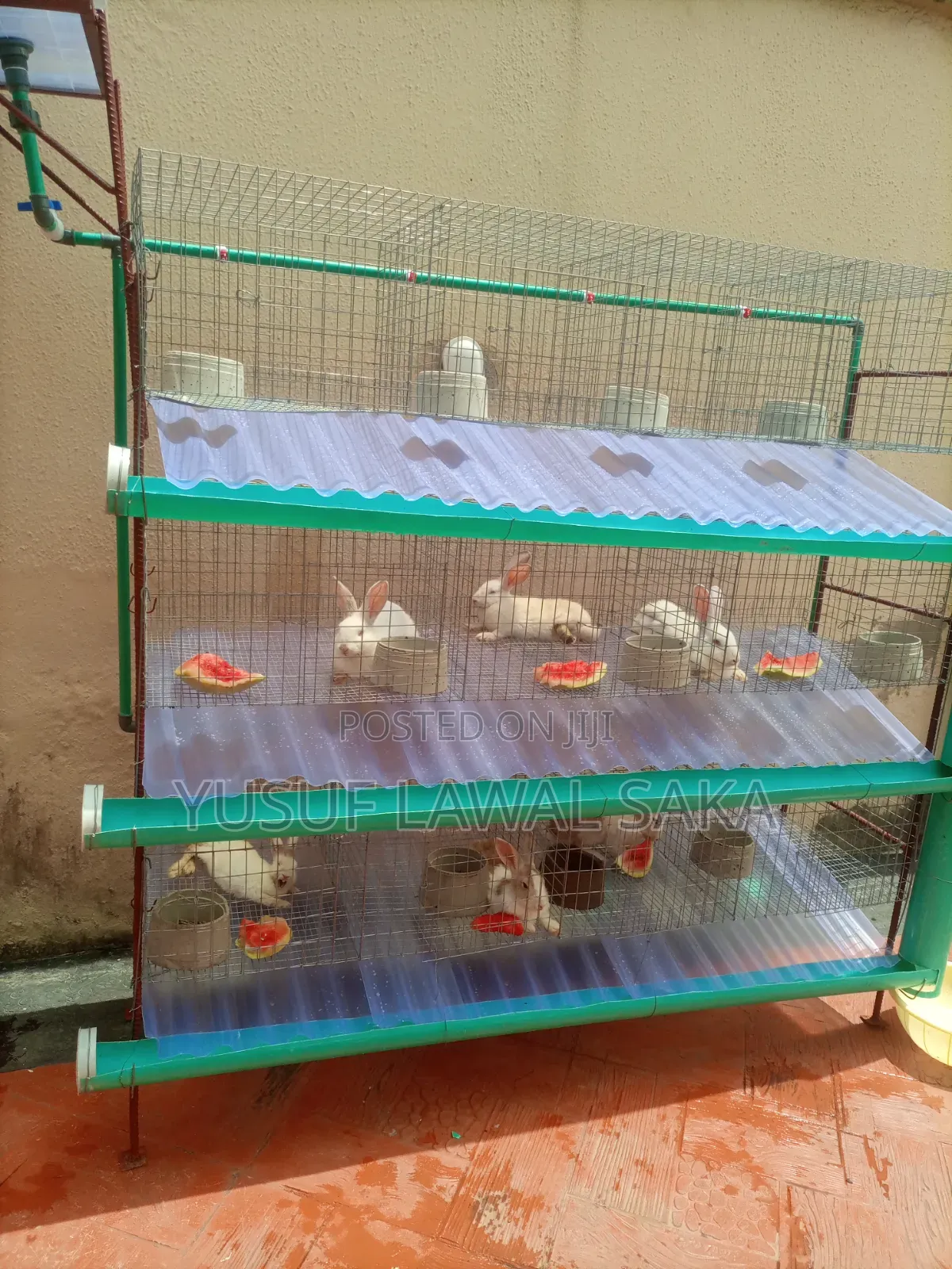 Rabbit Cage Fabricated