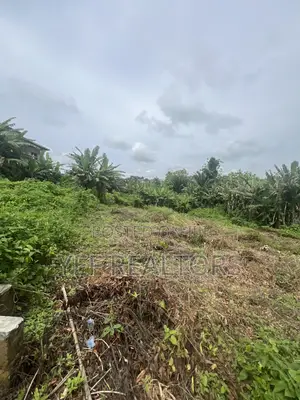 One Plot of Land at Awosun