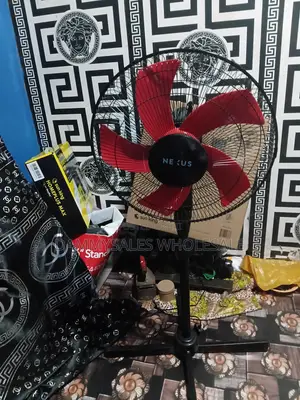 Standing Fan