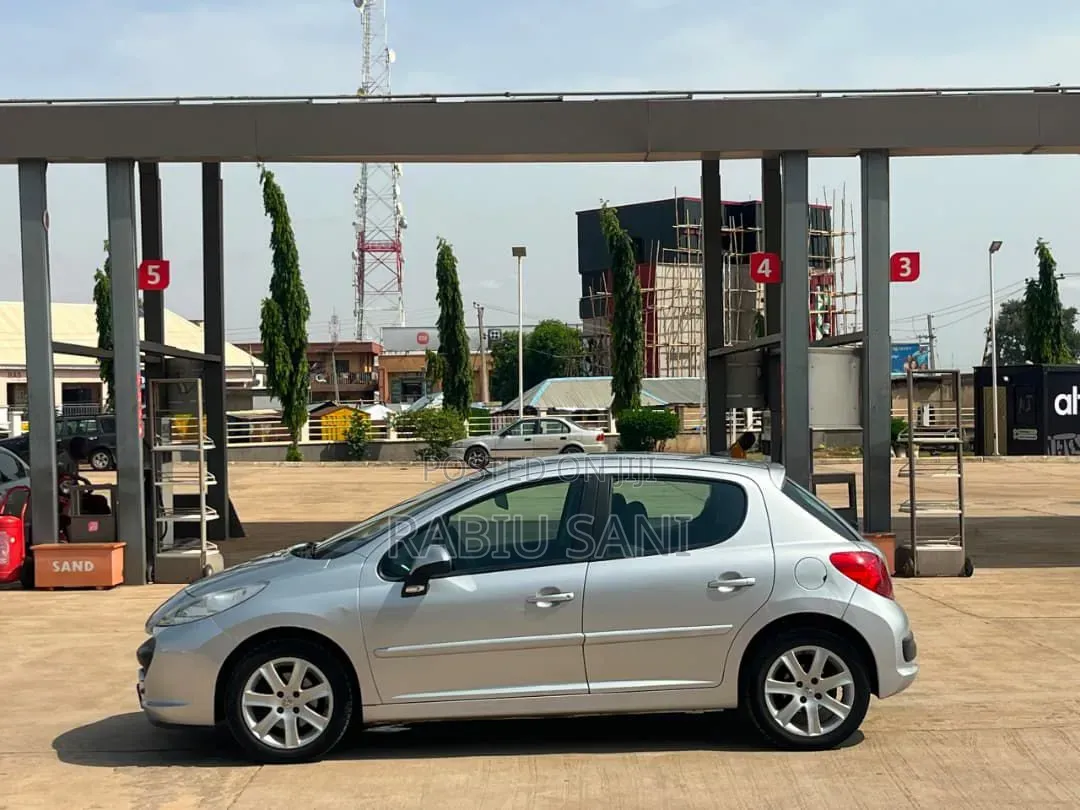 Peugeot 207 2004 Silver