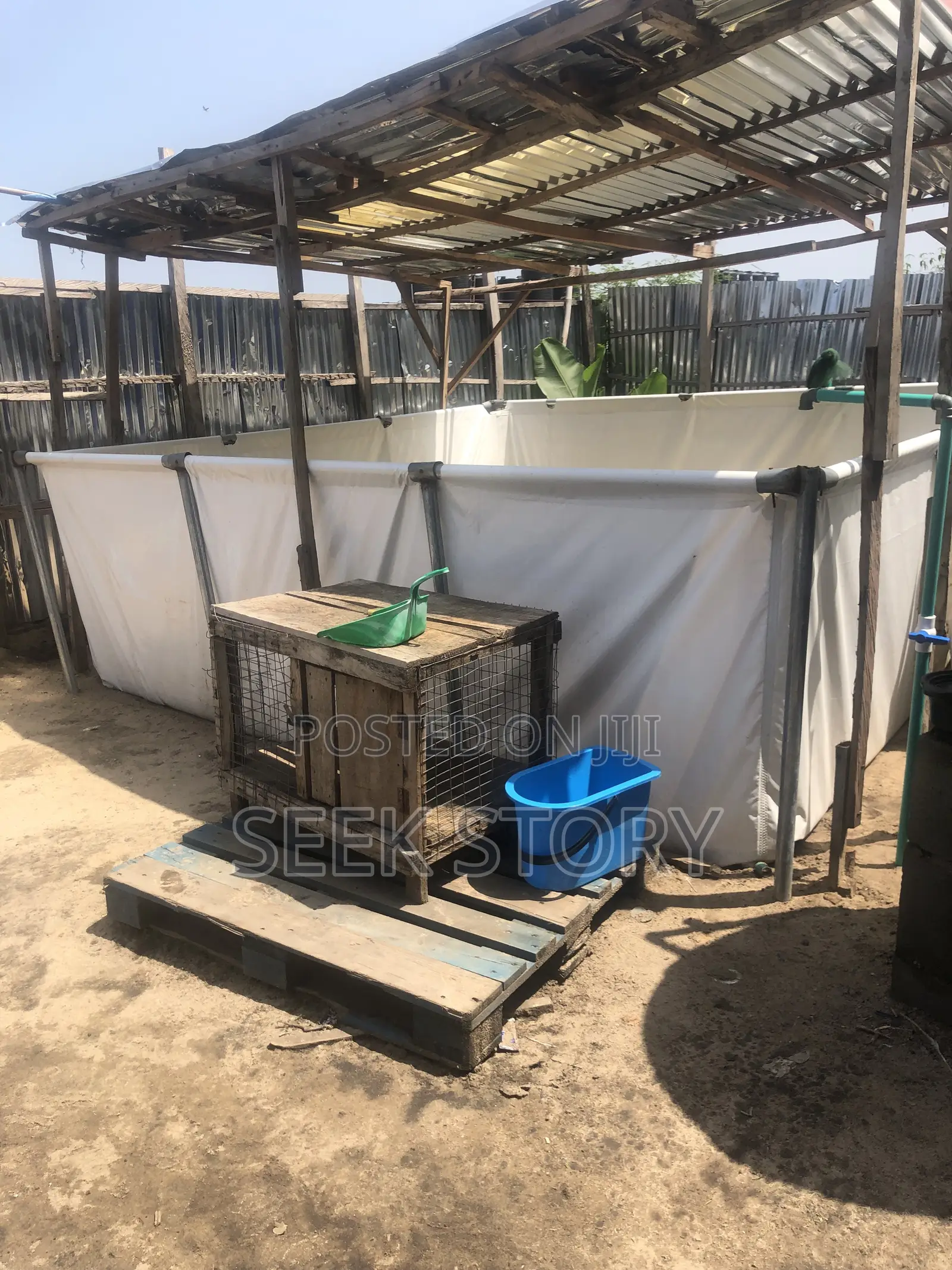 Fish Farm, Tanks And Trampoline