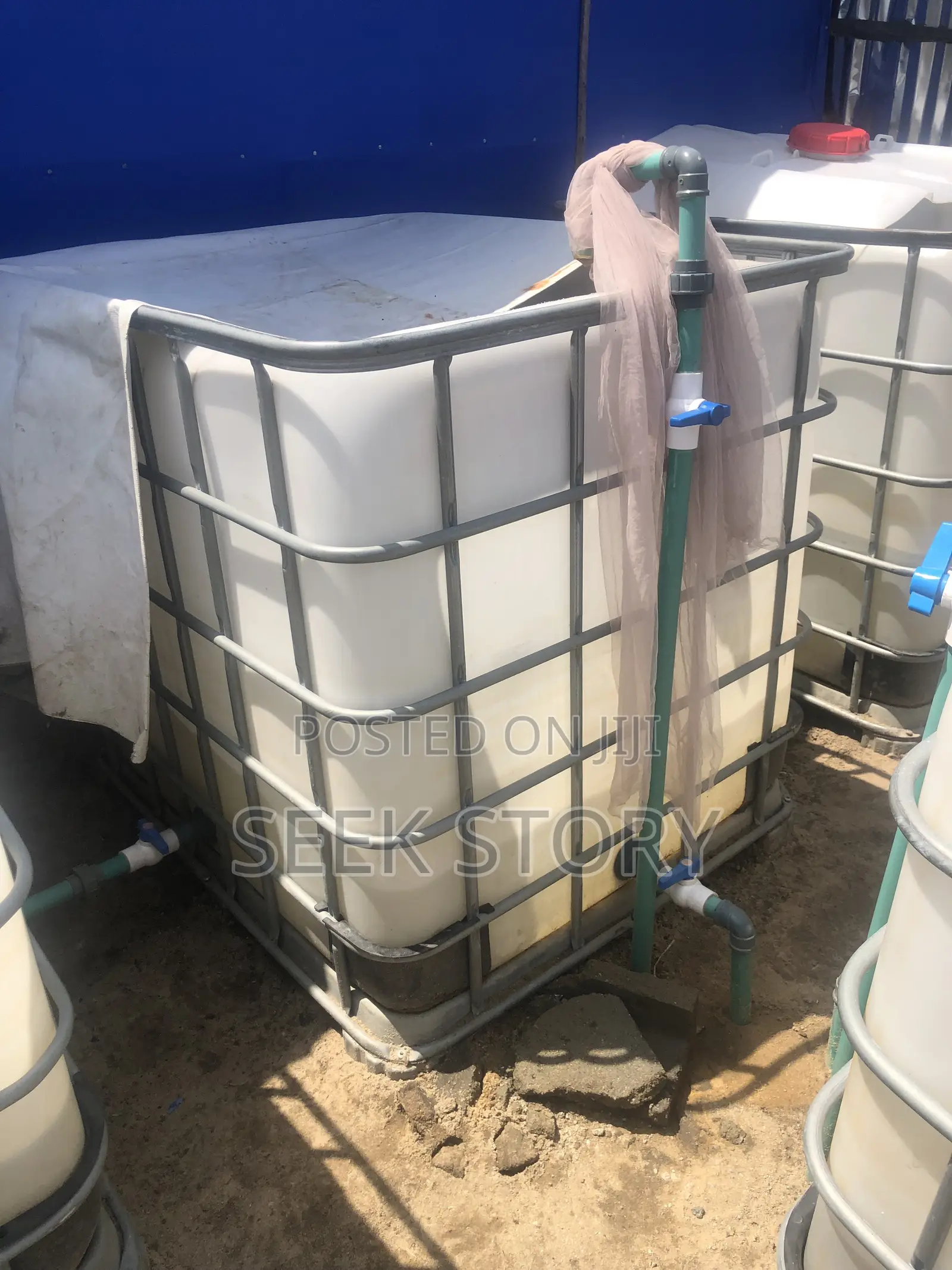 Fish Farm, Tanks And Trampoline