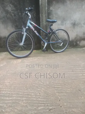 Raleigh Bicycle