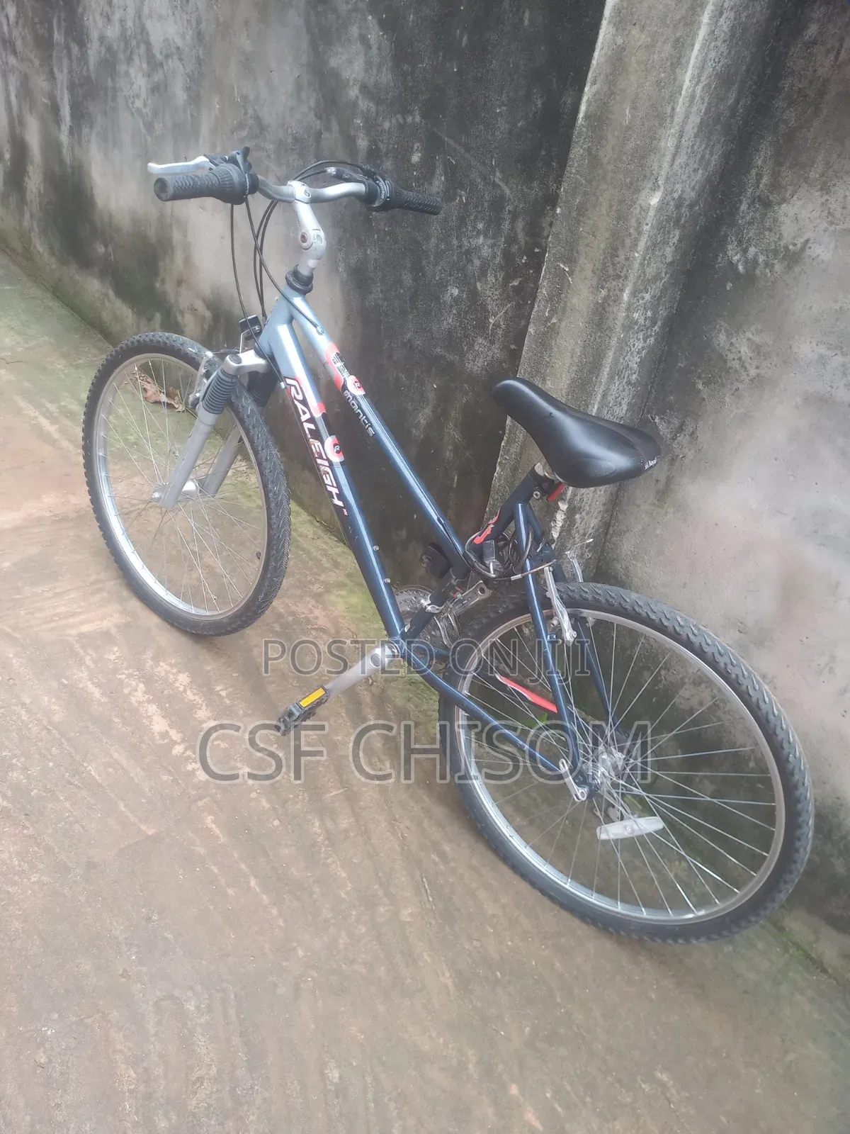 Raleigh Bicycle