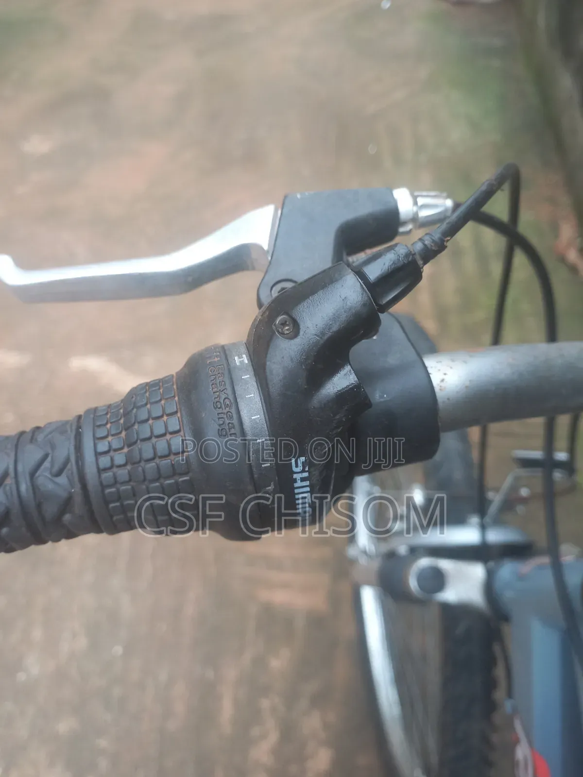Raleigh Bicycle