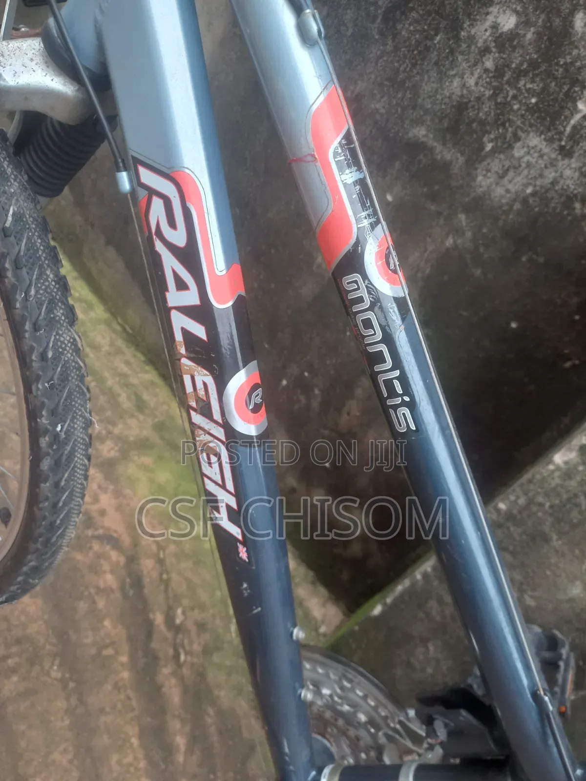 Raleigh Bicycle