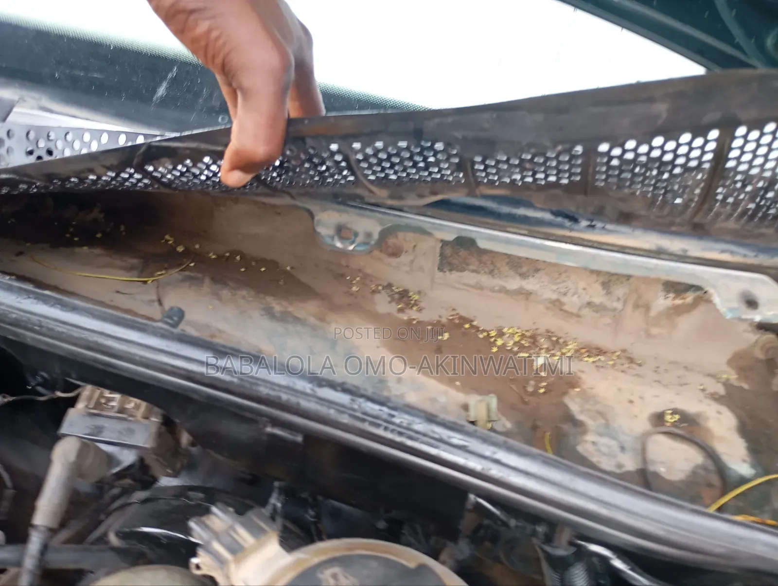 Borehole Drilling and Servicing
