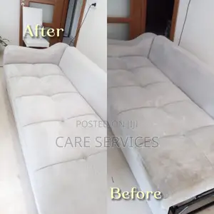 Professional Sofa/Couch Steam Cleaning Service