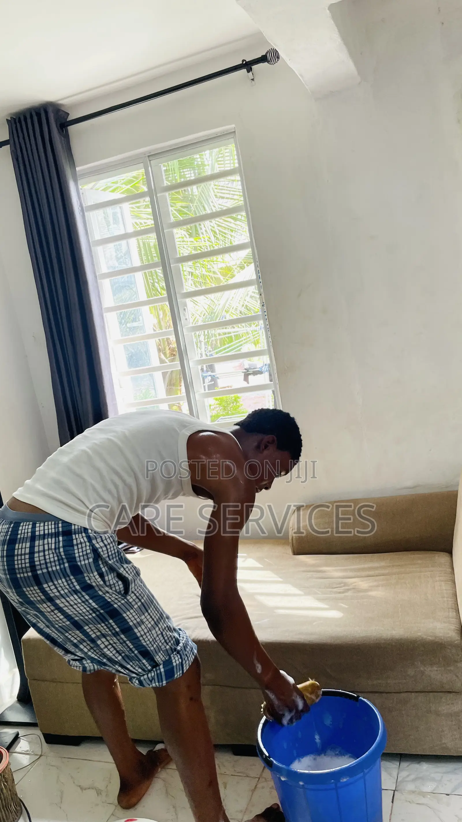 Professional Sofa/Couch Steam Cleaning Service