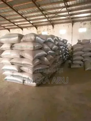 Cleaned Soya Beans