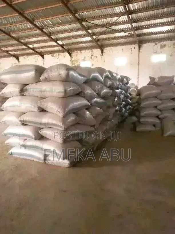 Cleaned Soya Beans