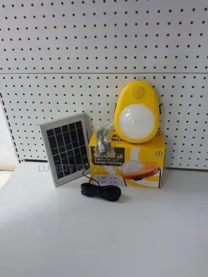Affordable Sunking Boom Solar Lantern Dealer on Radio and Mp3 Function