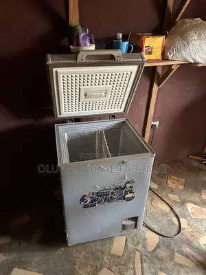 Scanfrost Freezer for Sale