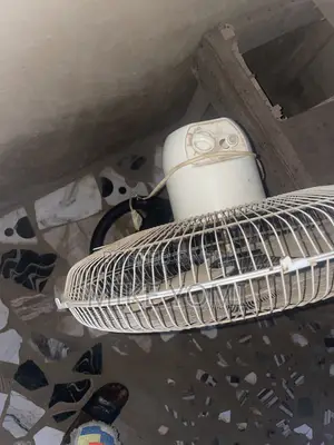 Ox Standing Fan