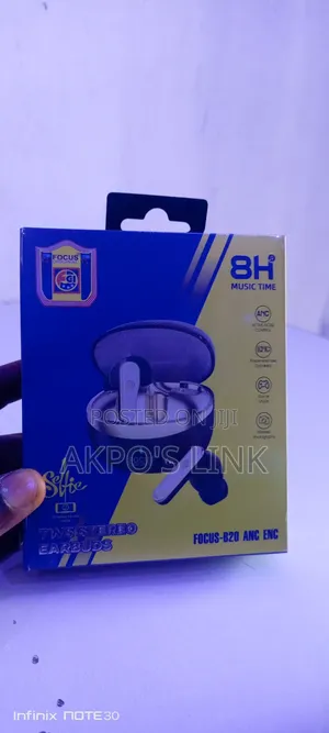 Two Stereo Earbuds