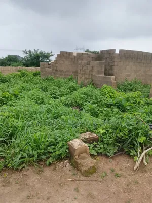 Land for Sale at Elepe Off Ojoo Arulogun Rd Ojoo Ibadan for Sale