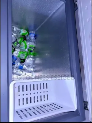 Used 200l Skyrun Freezer for Sale