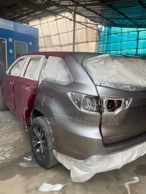 Car Spray (Oven Bake)