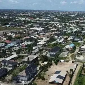 Drone Service + Professional Pilot