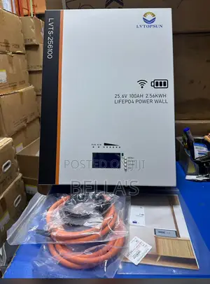 Lv Topsun Battery