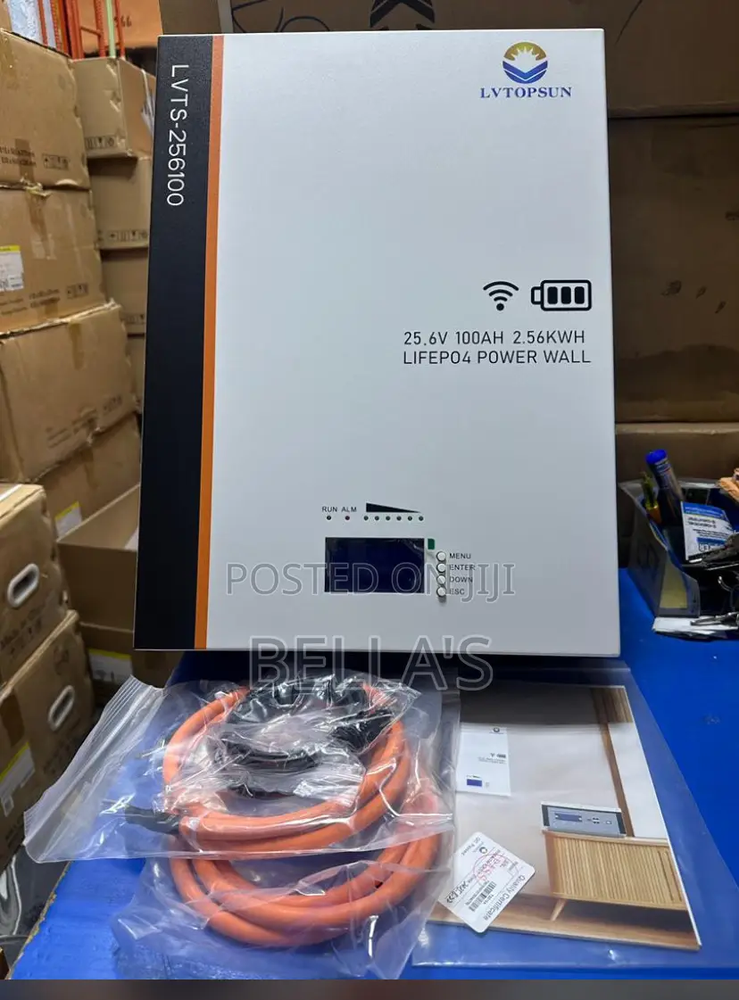 Lv Topsun Battery