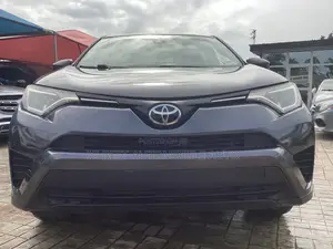 Toyota RAV4 2017 Gray