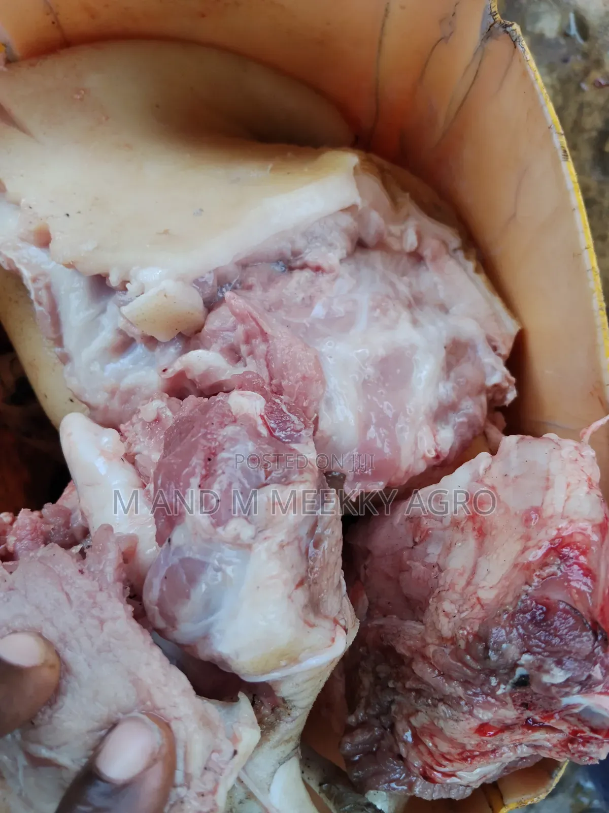 Pork Meat Fresh