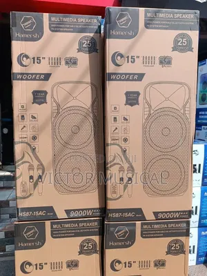 Double 15" Pa System