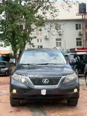 Lexus RX 2010 Gray