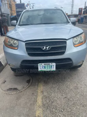 Hyundai Santa Fe 2008 Blue