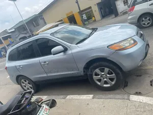Hyundai Santa Fe 2008 Blue
