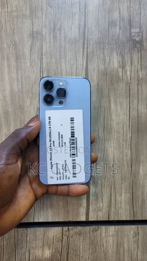 Apple iPhone 13 Pro 1 TB Blue