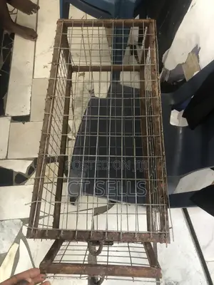 Pet Cage for Dogs and Cats