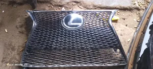 Front Grill Is 250 2015