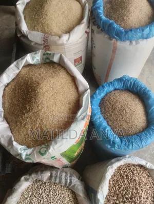 Costus Rice Premium Quality and Sand Free Rice