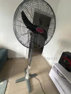 Standing Fan