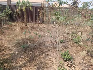 Fenced Residential Plot for Sale at Ibadan