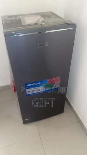 Skyrun BCD 160hc Refrigerator