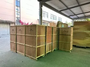 Dingli Packaging Machine