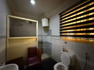 Furnished 1bdrm Block of Flats in Maitama for rent