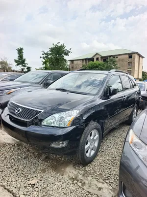 Lexus RX 2009 Gray