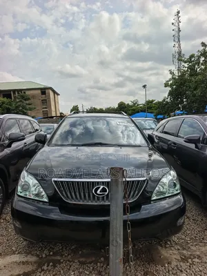 Lexus RX 2009 Gray